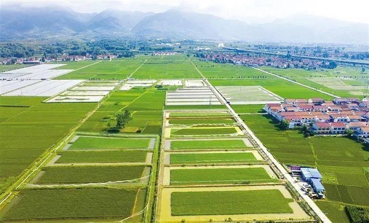 我國將穩(wěn)步推進第二輪土地延包整省試點